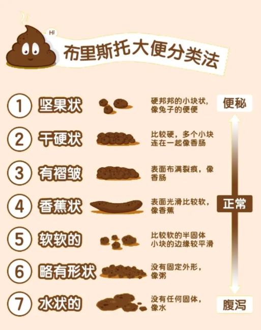关于便秘，你了解多少？